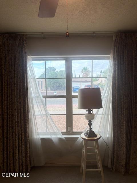 10700 Janway Dr, El Paso, TX 79935 - detailed view of a textured ceiling and carpet floors