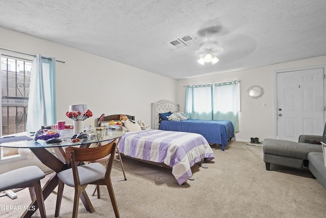 204 Ruth St, Anthony, NM 88021 - bedroom featuring multiple windows, light carpet, and a textured ceiling