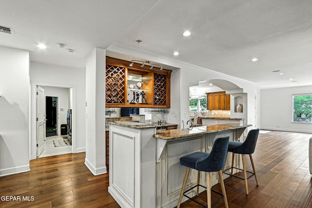 6528 Calle Placido Dr, El Paso, TX 79912 - indoor wet bar featuring dark wood-style floors, recessed lighting, arched walkways, ornamental molding, and decorative backsplash