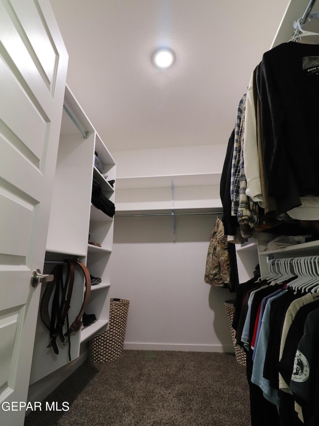 480 Deserts Dr, Socorro, TX 79927 - spacious closet featuring carpet flooring
