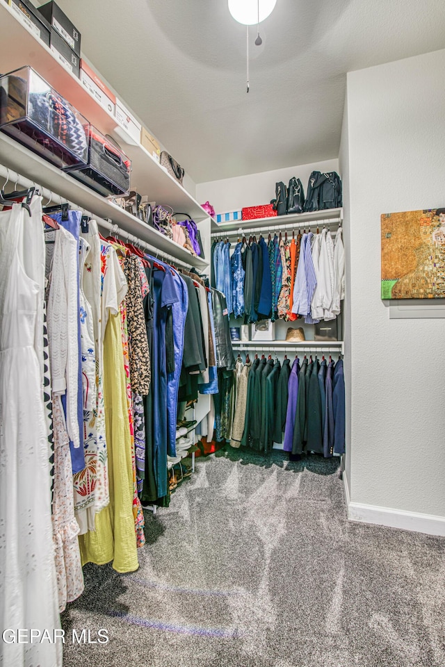 5705 Valley Lilac Ln, El Paso, TX 79932 - spacious closet with carpet flooring