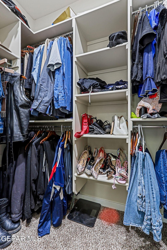14753 Charles Foster Ave, El Paso, TX 79938 - view of walk in closet