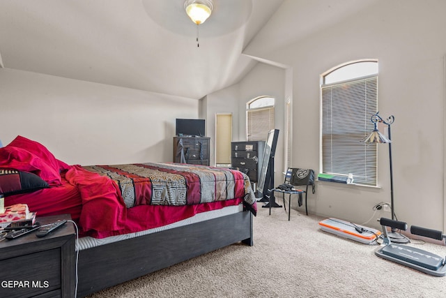 11240 Blue Barrel St, El Paso, TX 79934 - photo 19