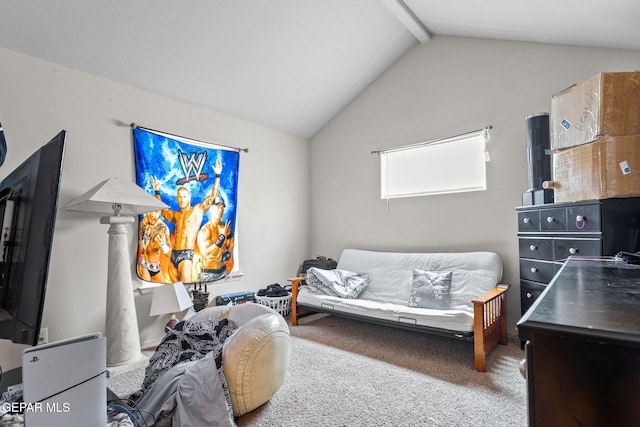 11240 Blue Barrel St, El Paso, TX 79934 - photo 25