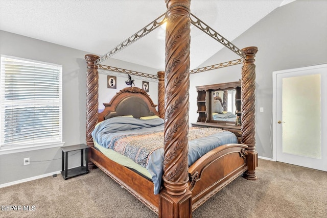 11651 Great Spirit Cir, El Paso, TX 79936 - bedroom featuring carpet floors, lofted ceiling, and a textured ceiling