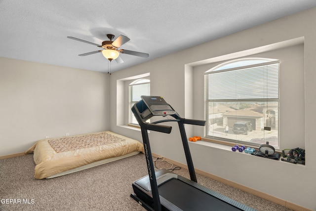 14709 Sand Gate Dr, Horizon City, TX 79928 - photo 24