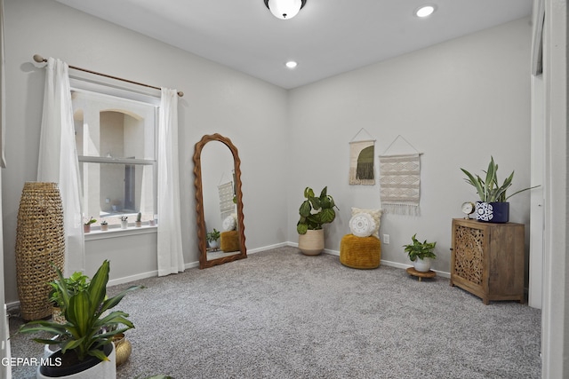 2308 Enchanted Quail, El Paso, TX 79911 - living area with carpet flooring and recessed lighting