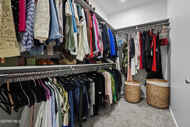 2308 Enchanted Quail, El Paso, TX 79911 - walk in closet featuring carpet floors