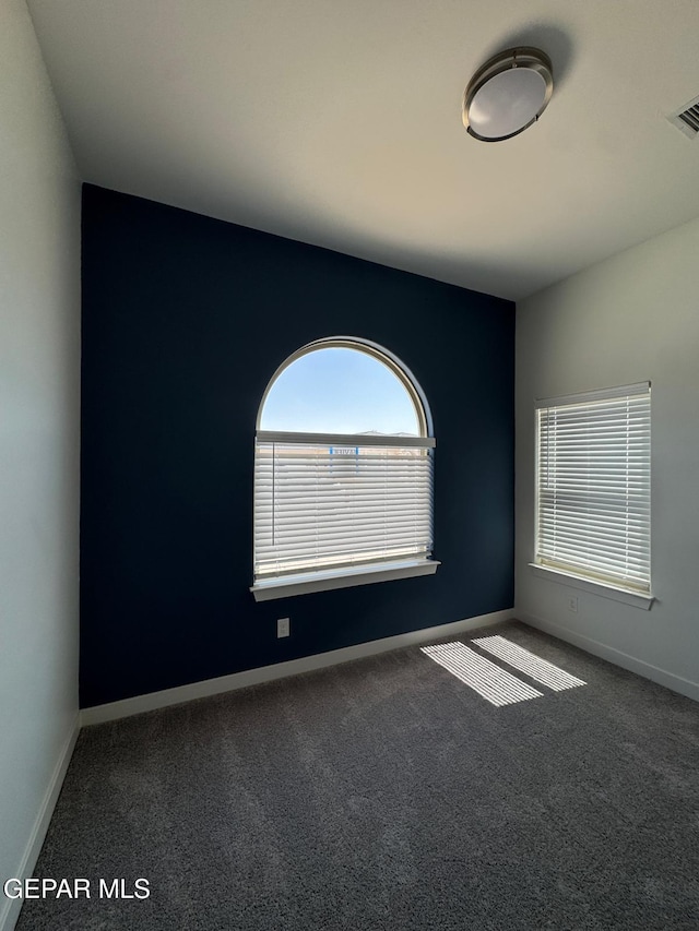 143 Bonnie Trl, Sunland Park, NM 88063 - photo 9