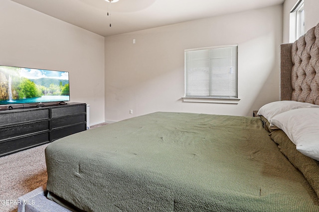 13960 Villa Vista Ave, Horizon City, TX 79928 - photo 21