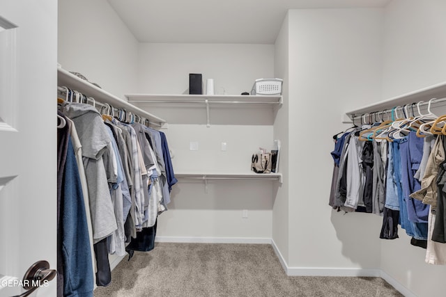 11157 Blazing Star Pl, El Paso, TX 79934 - spacious closet with carpet