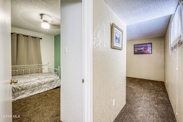 11581 Valle Verde Rd, Socorro, TX 79927 - hallway featuring carpet, a textured wall, and a textured ceiling