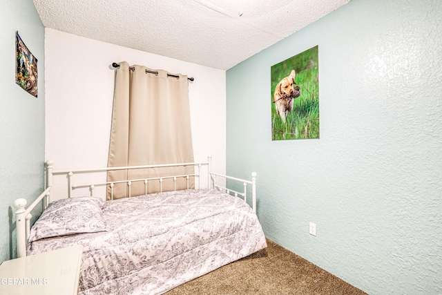 11581 Valle Verde Rd, Socorro, TX 79927 - bedroom featuring carpet, a textured ceiling, and a textured wall