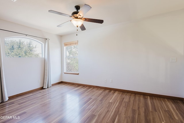 3733 Tierra Campa Dr, El Paso, TX 79938 - photo 47