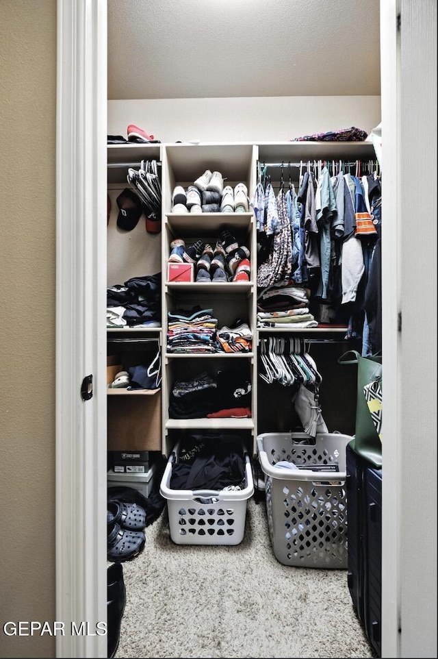 14516 Jesus Almeida, El Paso, TX 79938 - view of spacious closet
