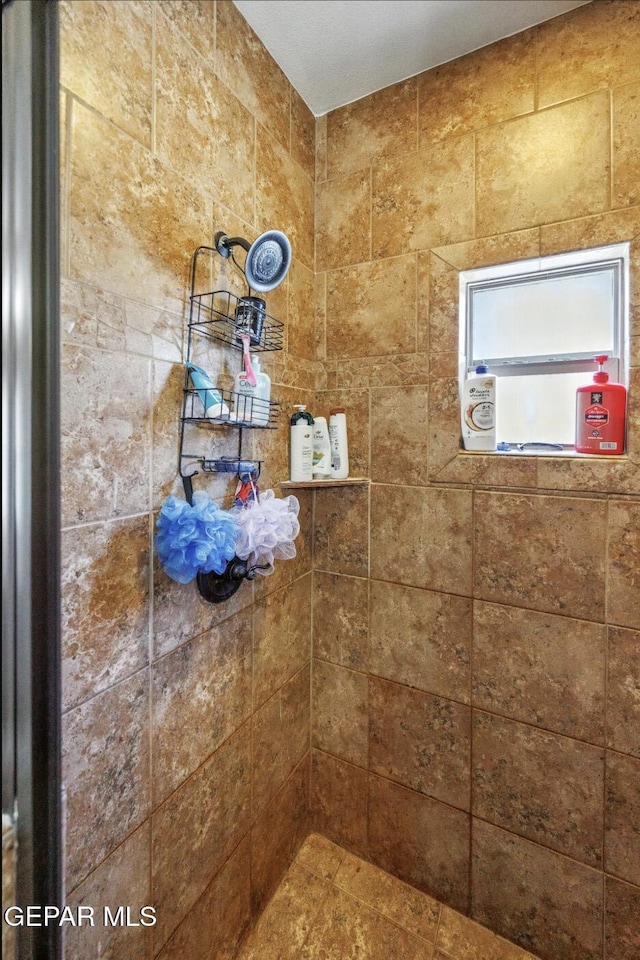 14516 Jesus Almeida, El Paso, TX 79938 - bathroom with a tile shower