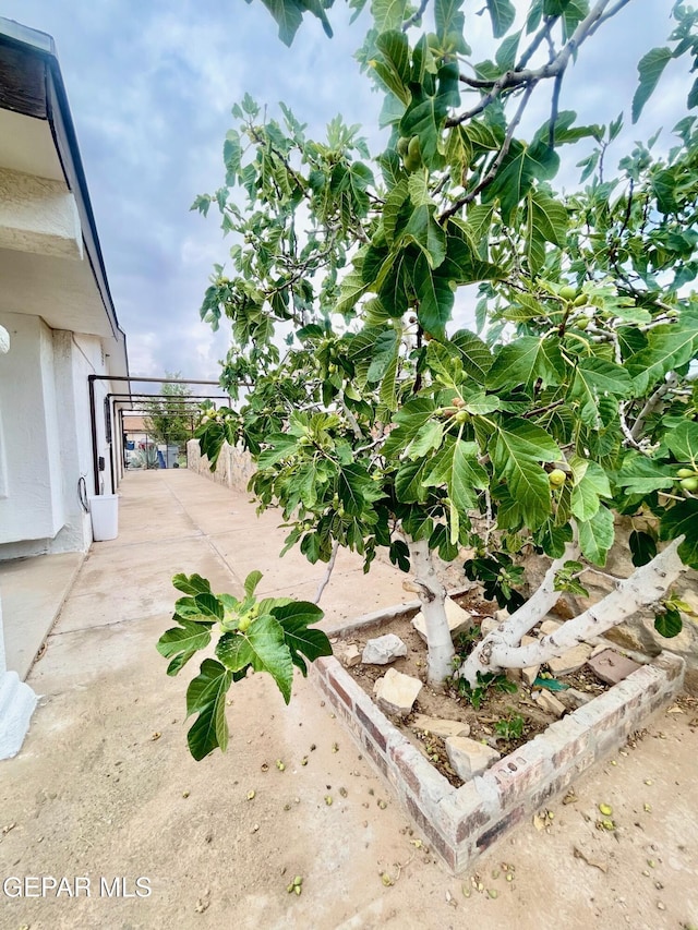 1611 James Chisum Dr, El Paso, TX 79936 - view of yard