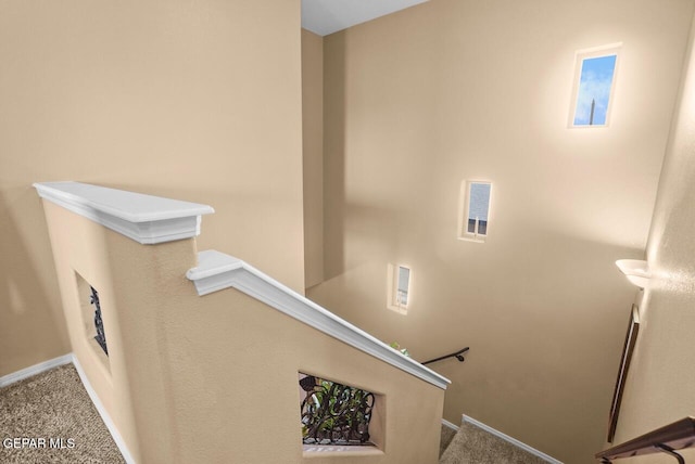 14648 Randall Cunningham, El Paso, TX 79938 - photo 21