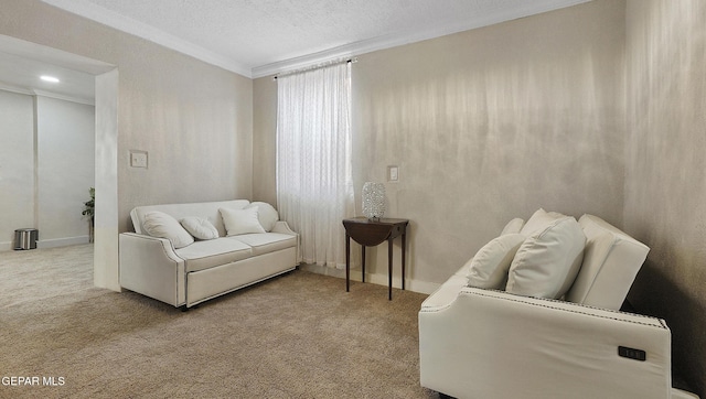 2123 Magoffin Ave, El Paso, TX 79901 - living area with crown molding, carpet floors, and a textured ceiling