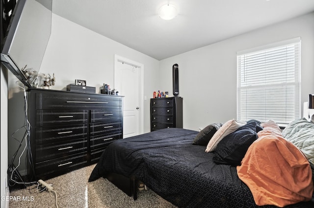 532 Paseo Musical St, Horizon City, TX 79928 - photo 10