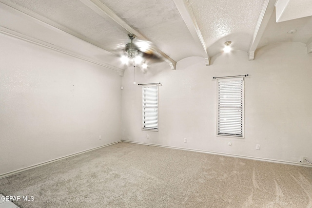 11157 Leo Collins Dr, El Paso, TX 79936 - photo 16