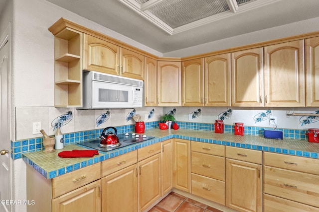 11157 Leo Collins Dr, El Paso, TX 79936 - photo 49
