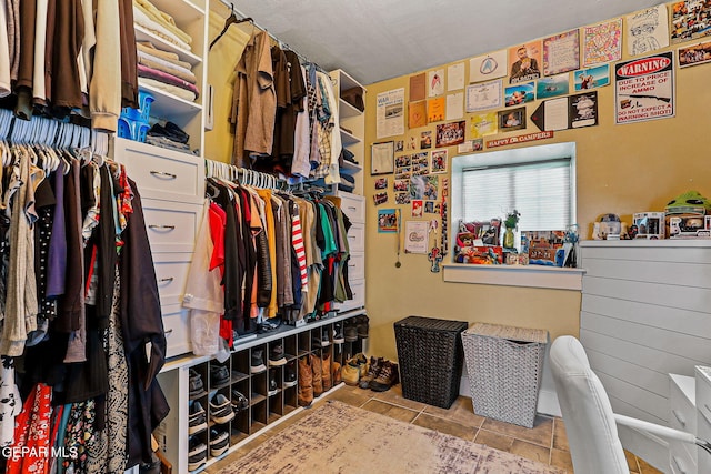 1624 Vinton Rd, Anthony, NM 88021 - view of walk in closet