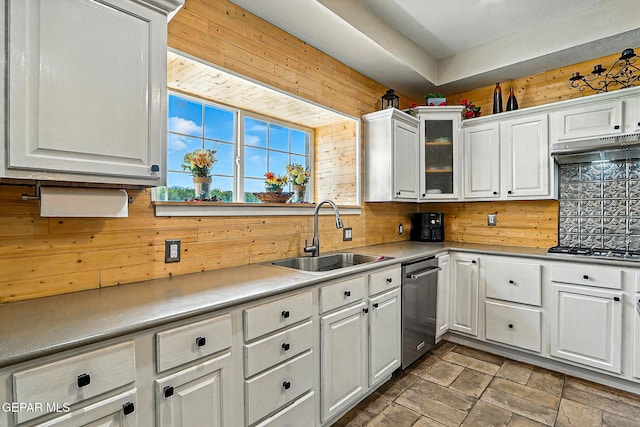 1624 Vinton Rd, Anthony, NM 88021 - kitchen with appliances with stainless steel finishes, under cabinet range hood, wood walls, white cabinets, and decorative backsplash
