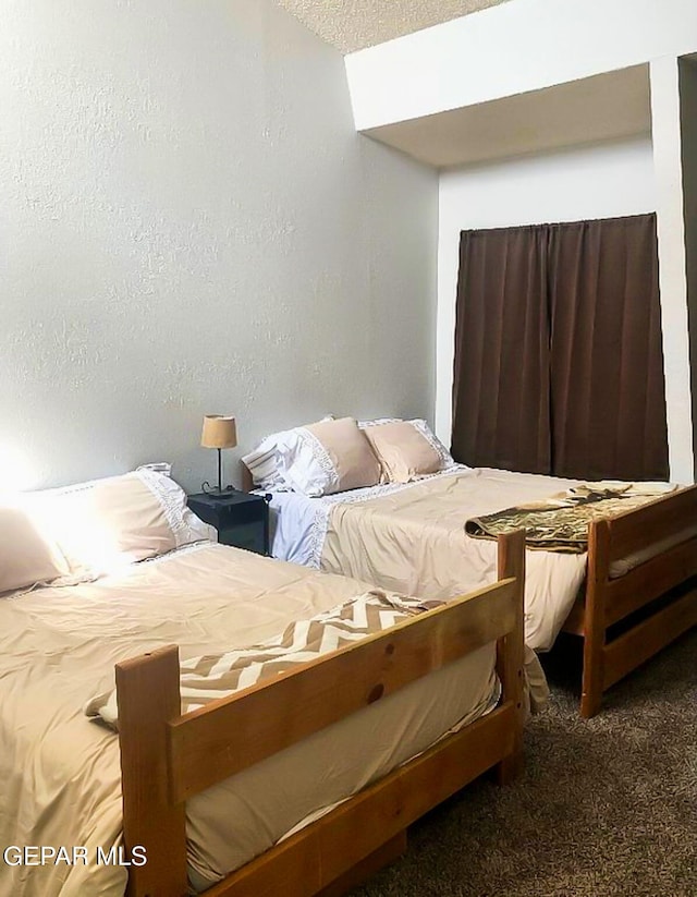 1624 Vinton Rd, Anthony, NM 88021 - bedroom featuring carpet floors
