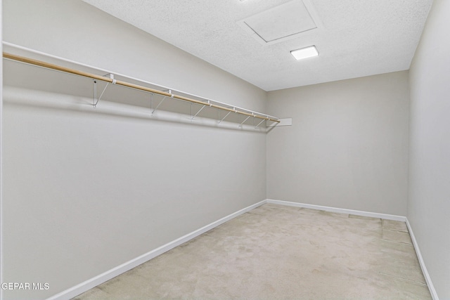 8921 Gemotes Pl, El Paso, TX 79907 - spacious closet with carpet floors