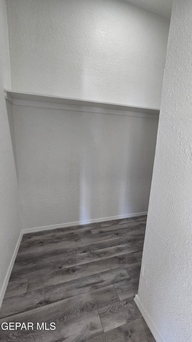 557 Bonampak Dr, San Elizario, TX 79849 - walk in closet with wood finished floors