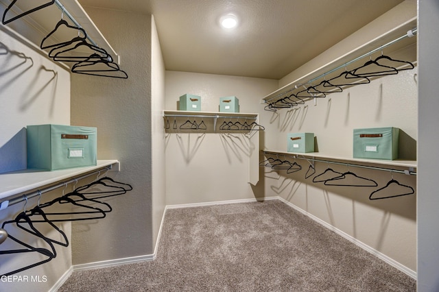 12725 Silver Streak Ave, El Paso, TX 79928 - photo 24