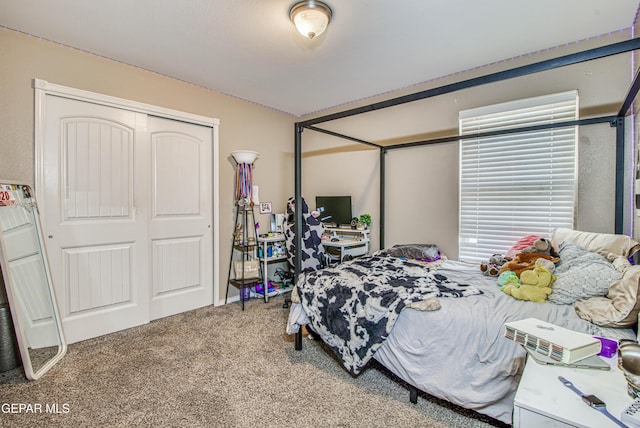12140 Mesquite Thorn Dr, El Paso, TX 79934 - bedroom featuring carpet and a closet