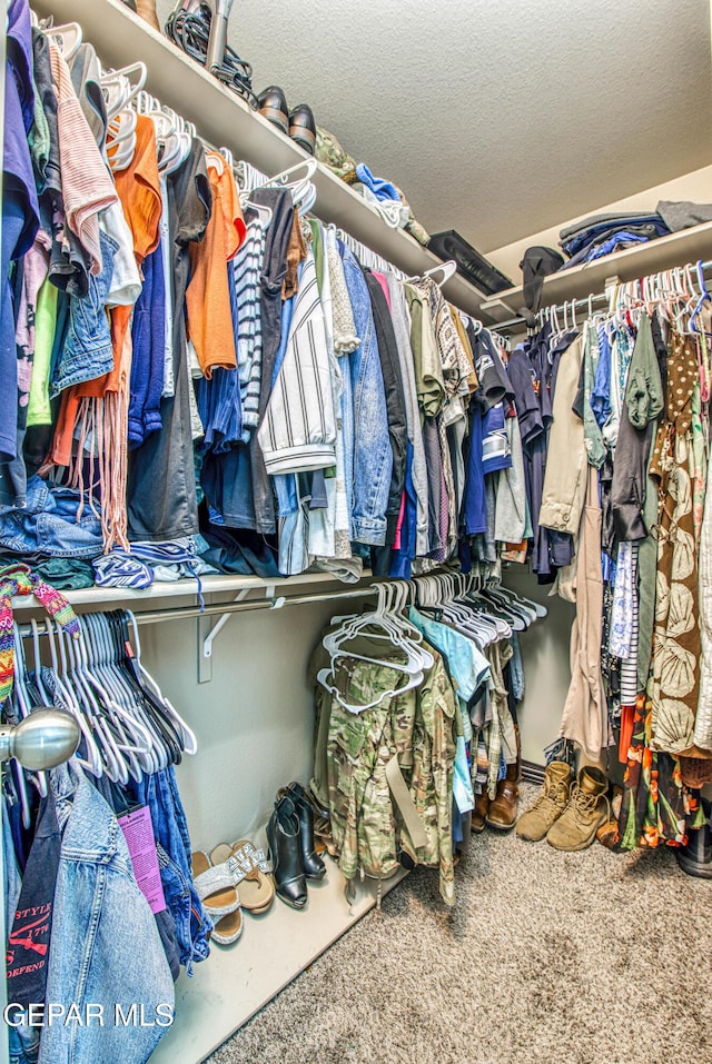 12140 Mesquite Thorn Dr, El Paso, TX 79934 - spacious closet with carpet floors