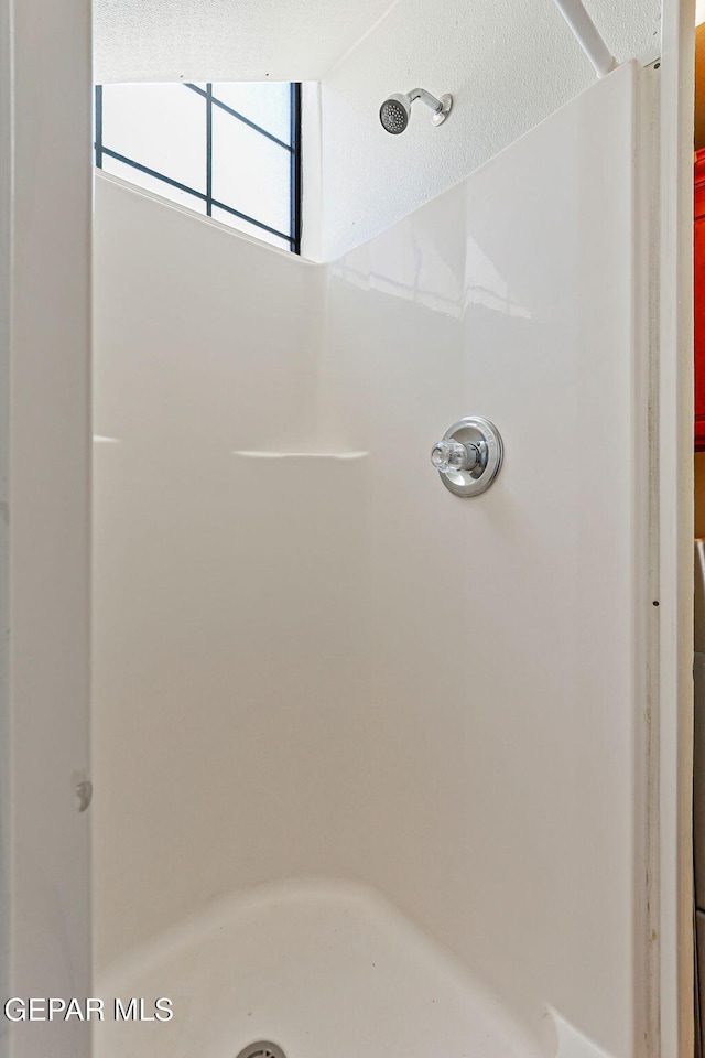 6514 Franklin Cove Place, El Paso, TX 79912 - bathroom with a shower