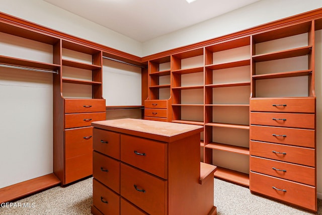 6514 Franklin Cove Place, El Paso, TX 79912 - walk in closet featuring light carpet