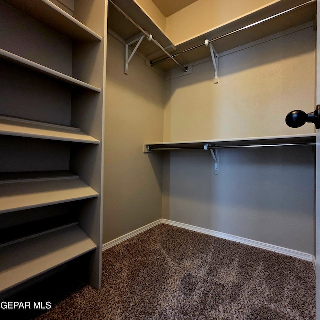 14368 Angel D Garcia Ct, El Paso, TX 79938 - spacious closet featuring carpet