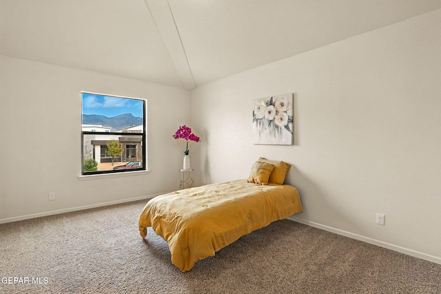 11353 W Ranch Ct, El Paso, TX 79934 - carpeted bedroom with baseboards and lofted ceiling