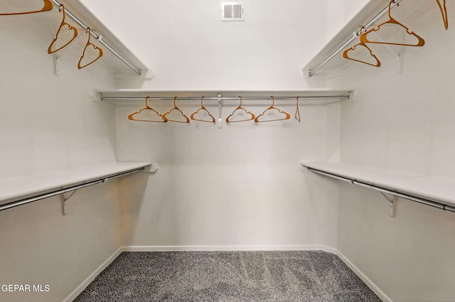 11353 W Ranch Ct, El Paso, TX 79934 - walk in closet featuring carpet