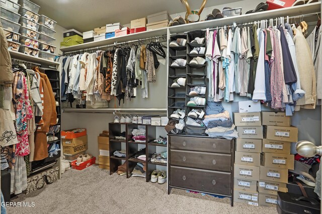 2228 Thawline Pl, El Paso, TX 79911 - spacious closet featuring carpet flooring