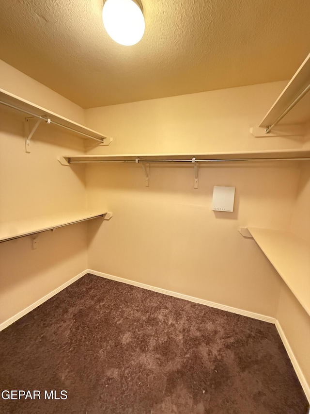11025 Acoma St, El Paso, TX 79934 - walk in closet with dark colored carpet