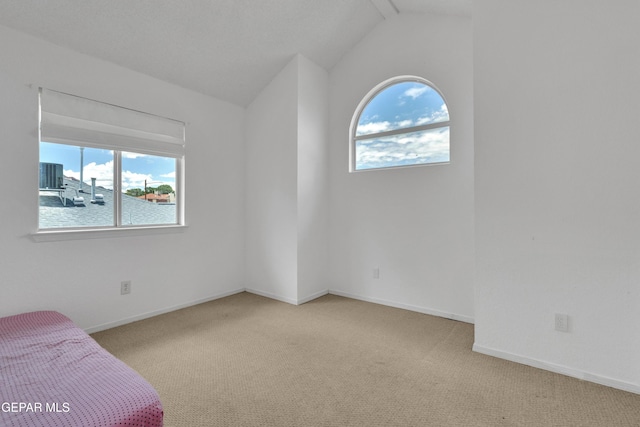4328 Loma Alegre Dr, El Paso, TX 79934 - unfurnished bedroom with carpet floors, multiple windows, and lofted ceiling