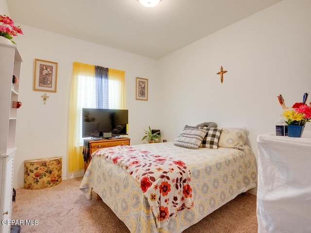 13835 Alamito Creek Ave, Clint, TX 79836 - photo 23