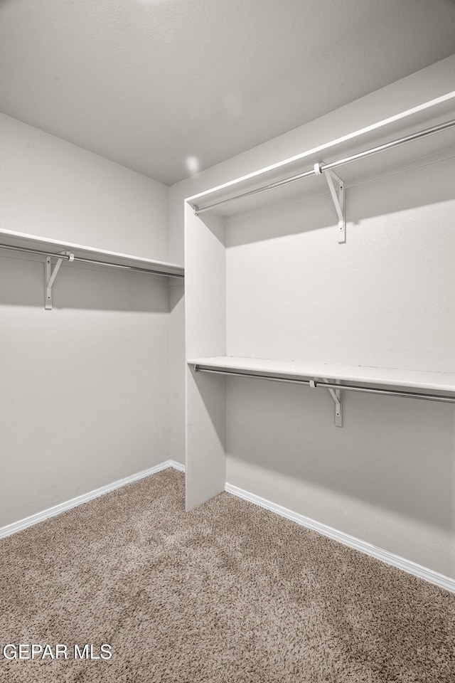 14207 Desierto Bonito St, Horizon City, TX 79928 - spacious closet featuring carpet flooring