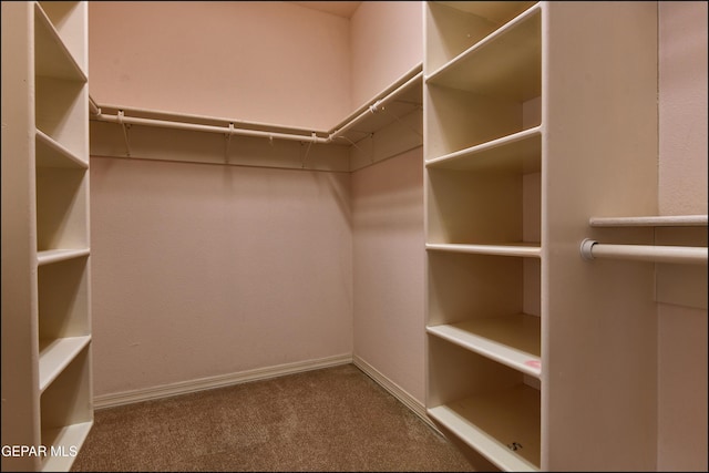 712 Rena Mae Ct, Las Cruces, NM 88005 - spacious closet with carpet flooring