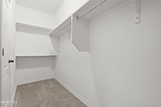 1060 Summer Rain St, Horizon City, TX 79928 - photo 23