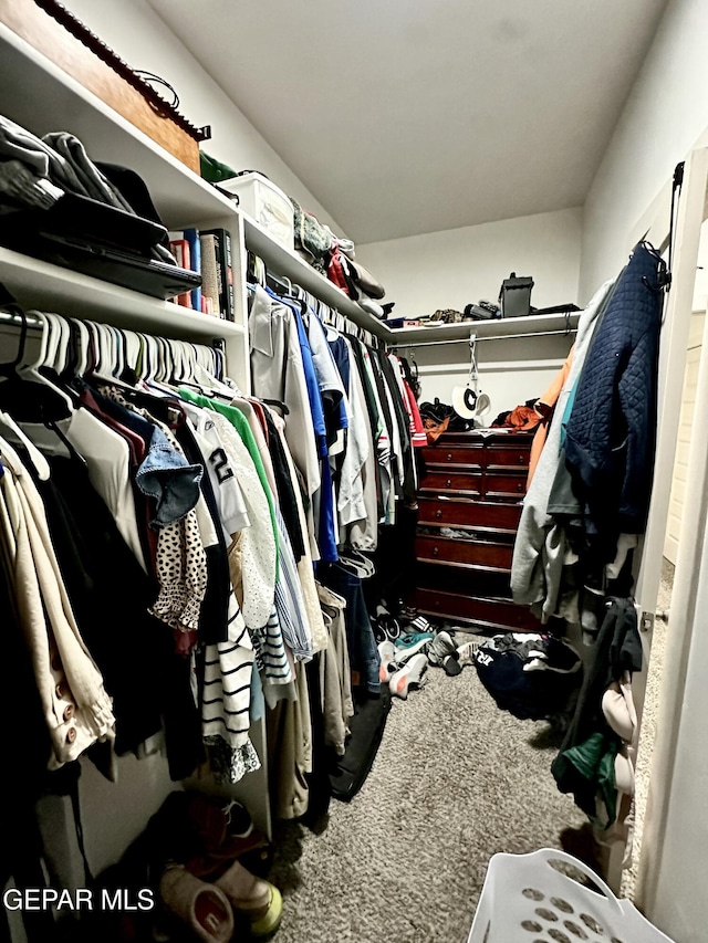 7780 Enchanted Park Dr, El Paso, TX 79911 - spacious closet with carpet