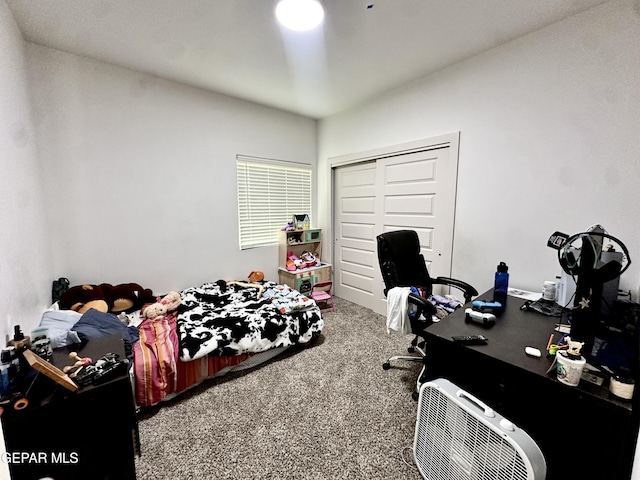 7780 Enchanted Park Dr, El Paso, TX 79911 - carpeted bedroom with a closet