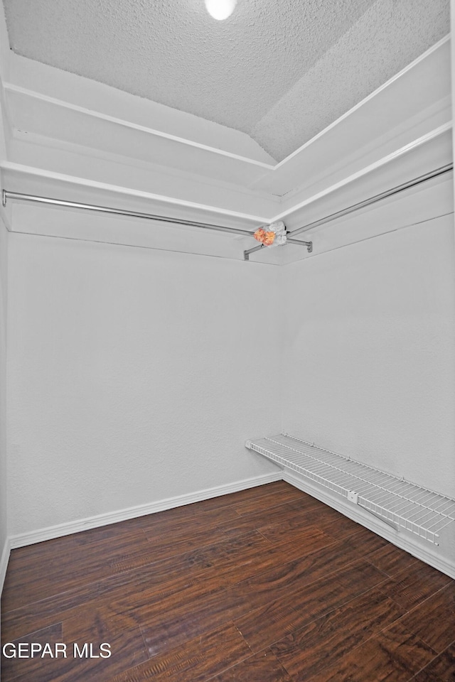 608 Paseo De Luna Ln, El Paso, TX 79912 - walk in closet with wood finished floors and vaulted ceiling