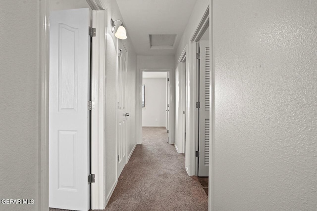 5020 Copper Ranch Ave, El Paso, TX 79934 - corridor with carpet flooring, a textured wall, and attic access
